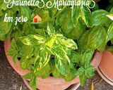 Foto del passaggio 1 della ricetta Farfalle con crema di Datterini gialli e rossi km zero mandorle e burrata 👩‍🍳🏡🦁🇮🇹