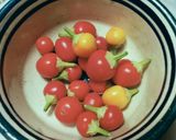 Foto del paso 3 de la receta Chile en aceite de oliva orgánico