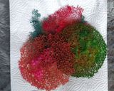 Foto langkah ke 5 dari resep Coral Tuile (Garnish).