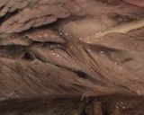Foto del paso 5 de la receta: Costillas de Brontosaurio