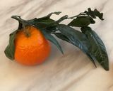 Une image de l'étape 2 de SOUPE 🍜 POTIMARRON 🍊CLÉMENTINES 🥕CAROTTES.