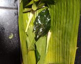 Foto langkah ke 3 dari resep 489. Pepes Blanak Ringkes.
