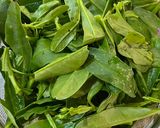 Foto langkah ke 1 dari resep Tumis Daun Ginseng Bawang Putih.