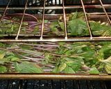A picture of step 2 of Mike's Oven Dried Herbs.