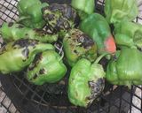 A picture of step 1 of Grilled green pepper.