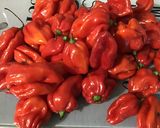 Une image de l'étape 1 de Sauces aux trois piments, coriandre et radis noir.