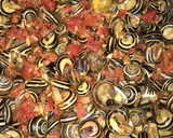 Foto del paso 4 de la receta: Caracoles en salsa