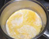 A picture of step 1 of Khoya or mawa.