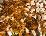 Rakott kelbimbó Ági konyhájából ☀️ebéd☀️ recept fázis 5 fotója