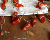 Foto del paso 2 de la receta: Cómo conservar pimientos picantes