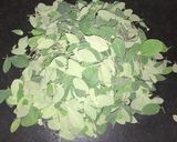 A picture of step 2 of Moringa leaves tikki.