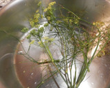 Foto del paso 3 de la receta: Castañas cocidas