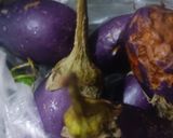 A picture of step 2 of Brinjal ka bharta.