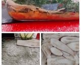 Foto del paso 5 de la receta Lasagna de Vegetales