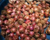 Foto langkah ke 1 dari resep Bawang goreng gurih super crispy.
