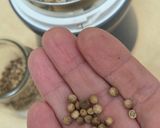 Foto del paso 6 de la receta: Dukkah egipcio 🇪🇬 mezcla saludable de frutos secos y especias 🇪🇬