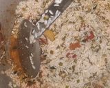 A picture of step 5 of Masala khichdi.