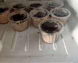 Foto langkah ke 3 dari resep McFlury Ice Cream.