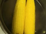 Elote (maíz mexicano)