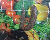 صورة لخطوة 1 من وصفة طريقة عمل الباسطرمه العراقيه
