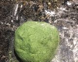 Foto del paso 4 de la receta: Ñoquis verdes