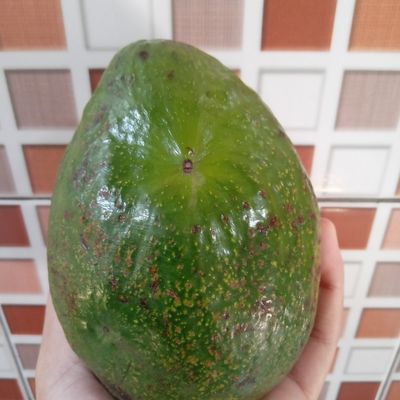 Langkah 1