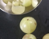 આમળાનો જ્યુસ(Amla juice recipe in gujarati) રેસીપી સ્ટેપ1ફોટો