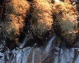 Foto del paso 9 de la receta Berenjenas rellenas