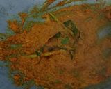 Foto langkah ke 1 dari resep Tongseng daging sapi.