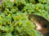 દૂધી નો હલવો(Dudhi Halwa Recipe In Gujarati)