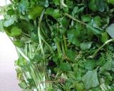 Foto langkah ke 1 dari resep Sayur Bobor Selada Air (Menu Harian).