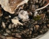 Foto del paso 19 de la receta 201. Arroz Negro con Alioli