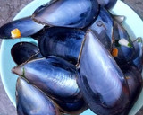 Foto del paso 15 de la receta: Mejillones rellenos de crema de mejillones al vapor