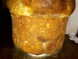 Pan bicolor