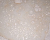 A picture of step 1 of Yeast doughnuts.
