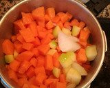 Foto del paso 6 de la receta: Gargouillou Michel Bras