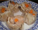 Foto del paso 12 de la receta: SHUMAI (o dim sum)