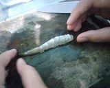 Foto langkah ke 3 dari resep Ebi Furai / Ebi Furai ala hokben / Udang Crispy Tepung Roti.