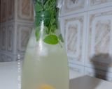Une image de l'étape 5 de Citronnade à la menthe 🍋 🌱.