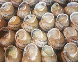 Foto del paso 1 de la receta: Caracoles a la llauna hechos al horno