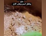 صورة لخطوة 6 من وصفة صيادية سمك فلسطينية غزاوية على اصولها