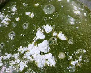 Es Cendol Alpukat - Step 1