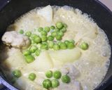 A picture of step 2 of Green Curry with King Mackerel Fish Balls.