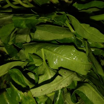 Langkah 1
