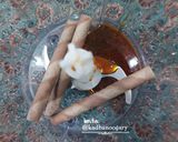 عکس مرحله 1 از دستور شیر شوکورول