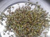 Sprout bhel