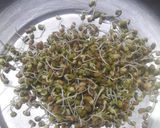 A picture of step 1 of Sprout bhel.
