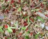 A picture of step 4 of Spring roll filling.