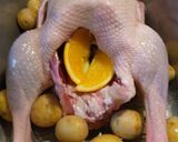 A picture of step 3 of Goose.