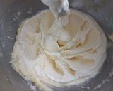 Foto del paso 2 de la receta: Arbolito de Navidad con Galletas